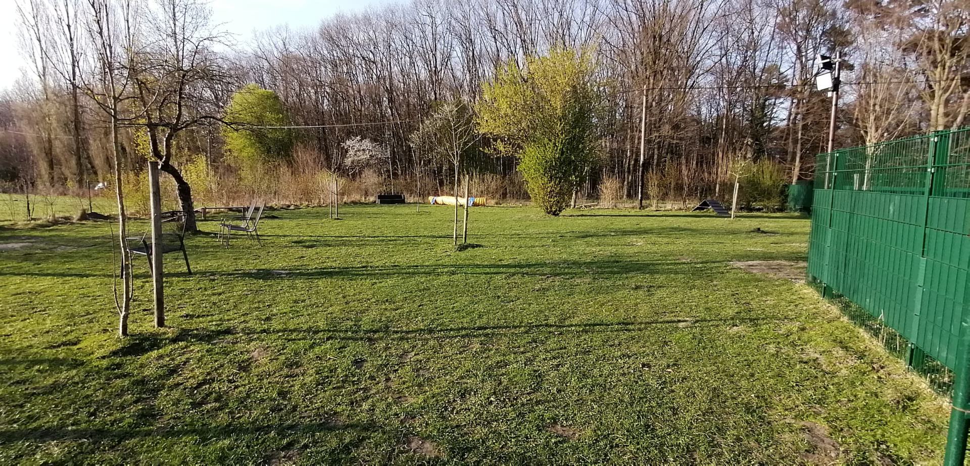 WhatsApp Bild 2025-06-02 um 08.52.59_572b97ac Bild von der Wiese