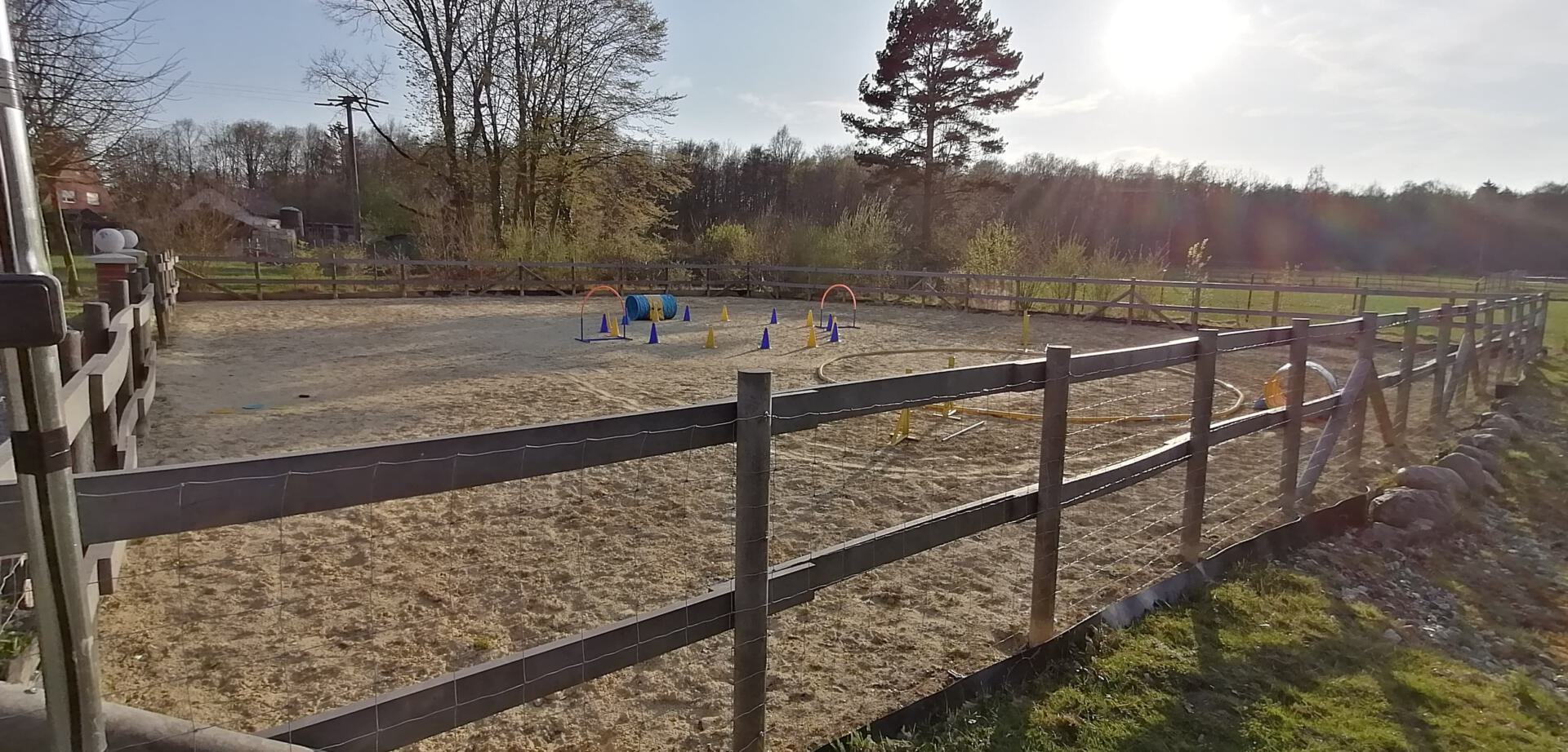 WhatsApp Bild 2025-06-02 um 08.52.59_925b8d32 Bild vom Sandplatz