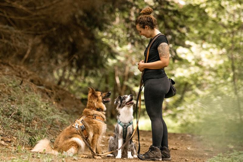 Hundetrainerin Sara Maggiorelli von Team Spirit mit zwei Hunden im Wald
