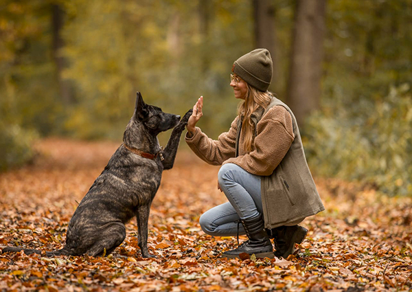 Co-Trainerin Mandy bei der Hundeschule Team Spirit